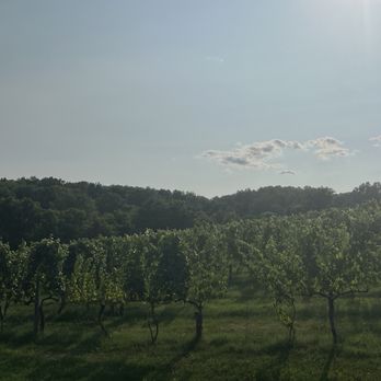 Pearmund Cellars - Vineyard - Wineries Near Me - Broad Run, Virginia