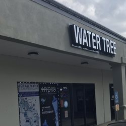 Water Tree - Out front