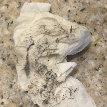 Hampton Inn Charleston-Downtown - This is what I wiped off the mirror and AC unit. - Hotels Near Me - W Charleston, West Virginia Hampton Inn Charleston-Downtown - This is what I wiped off the mirror and AC unit. - Hotels Near Me - W Charleston, West Virginia