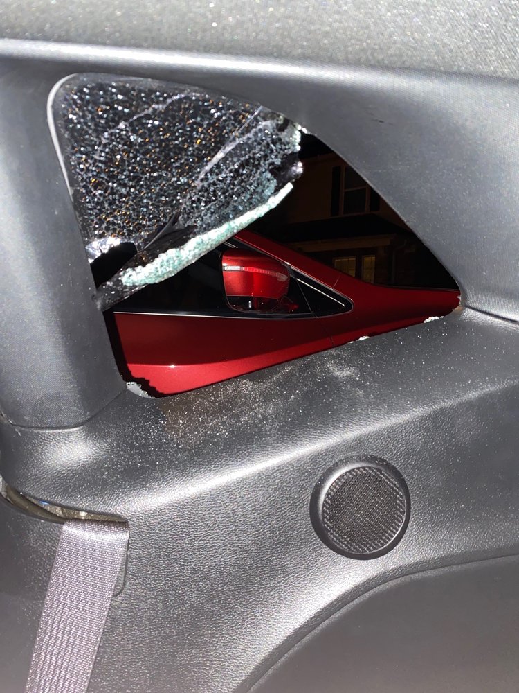 HOUSTON BIKE BAR 32 Photos & 19 Reviews 2215 Commerce St, Houston