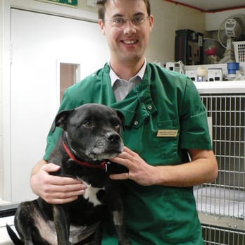 Sale vets for pets wimbledon New Arrivals