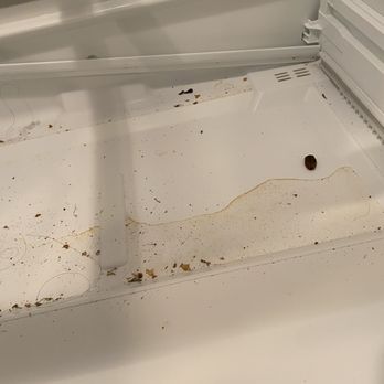 Rent Werx - This is in the refrigerator. Just yuck... - Property Management Near Me - San Antonio, Texas Rent Werx - This is in the refrigerator. Just yuck... - Property Management Near Me - San Antonio, Texas