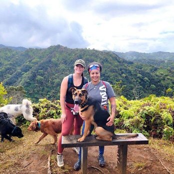 Hawaii Dog Training Services - Pet Training Near Me Hawaii Dog Training Services - Pet Training Near Me