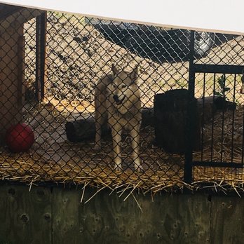 Cat Tales Wildlife Center - Amusement Parks Near Me - Spokane, Washington Cat Tales Wildlife Center - Amusement Parks Near Me - Spokane, Washington