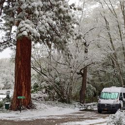 Suprise Snowfall!