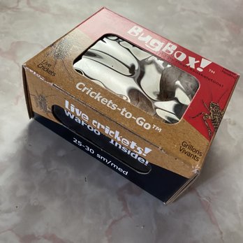 PetSmart - The emergency box of crickets for your lovable reptile! - Pet Groomers Near Me - Lakeville, Minnesota PetSmart - The emergency box of crickets for your lovable reptile! - Pet Groomers Near Me - Lakeville, Minnesota