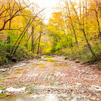 Walls of Jericho - Turkey Creek - Hiking Near Me - Estillfork, Alabama Walls of Jericho - Turkey Creek - Hiking Near Me - Estillfork, Alabama