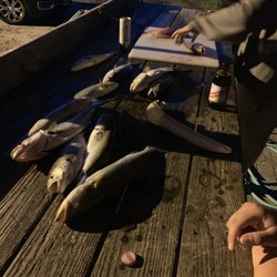 Outer Banks Fishing Charters - Our catch