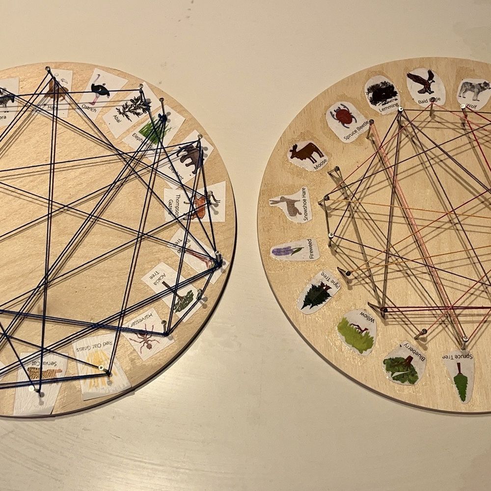 STEAMboat Studio - Kids Activities Near Me - Maple Valley, Washington