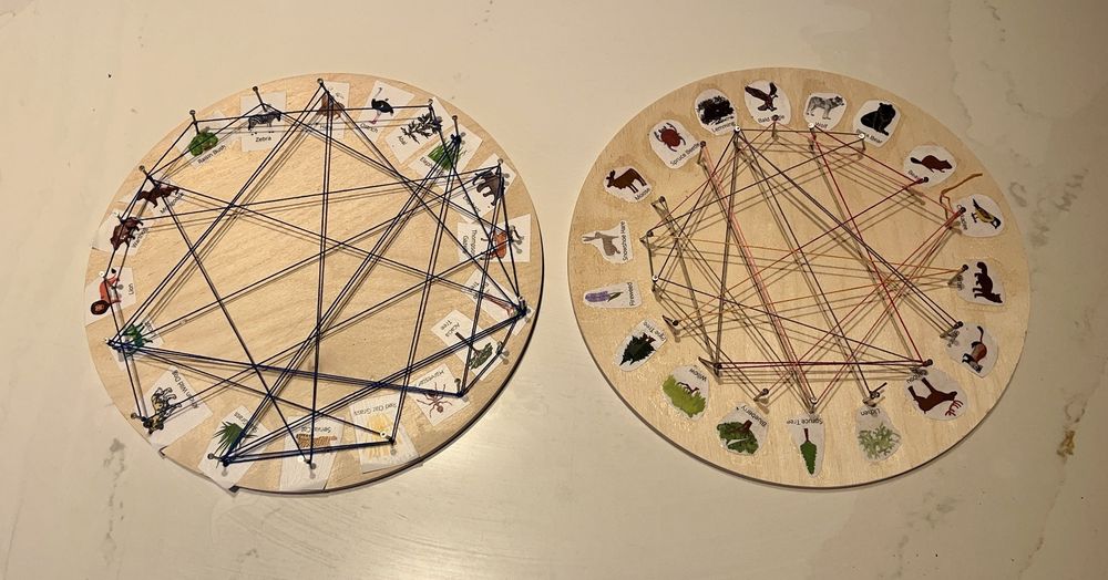 STEAMboat Studio Logo