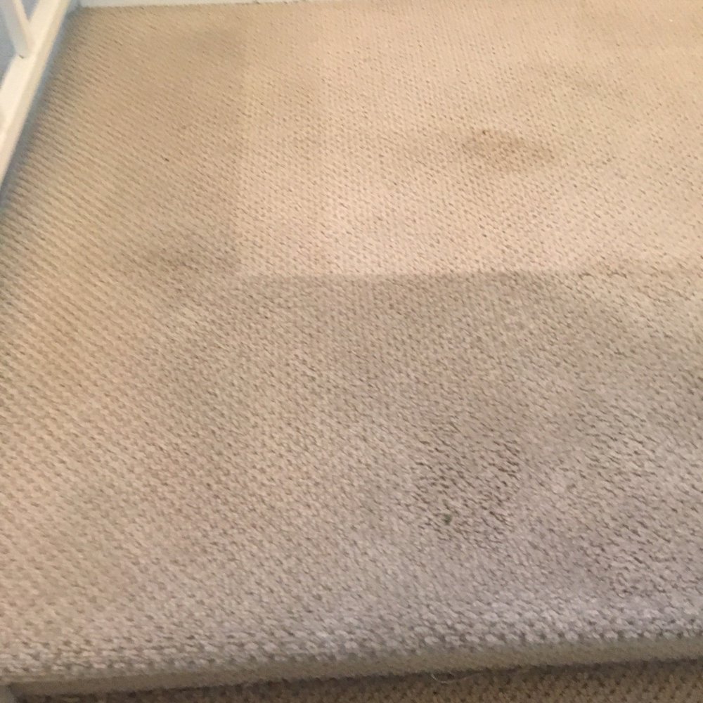 Safer Choice Cleaning - Before - Carpet Cleaning Near Me - Riverside, California Safer Choice Cleaning - Before - Carpet Cleaning Near Me - Riverside, California