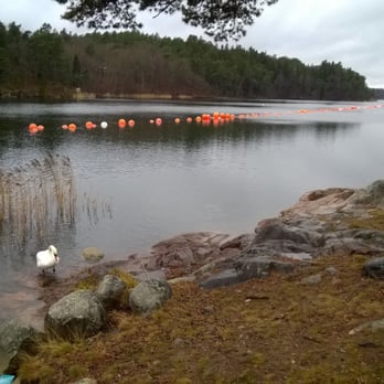 Calles klimp - Ny kabel läggs ut 29 November 2015. - Local Flavor Near Me - Danderyd, Alberta