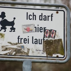 Eichbaumsee - Die halbe Seerunde ist Freilaufgebiet für Hunde :)