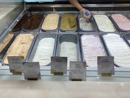 Birds of Paradise Gelato Boutique (Jewel Changi Airport) by null