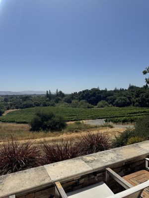 Fog Crest Vineyard by null
