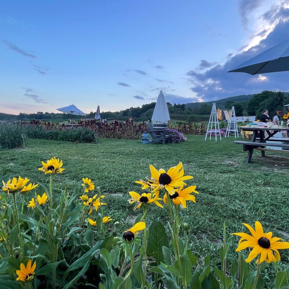 Hudson Wildflower Co - Tables to relax at in the field of flowers - Florists Near Me - Milton, New York