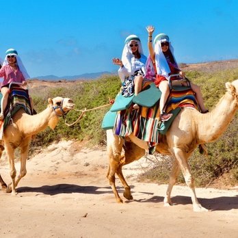 Cactus Tours - Tours Near Me - Cabo San Lucas, BCS