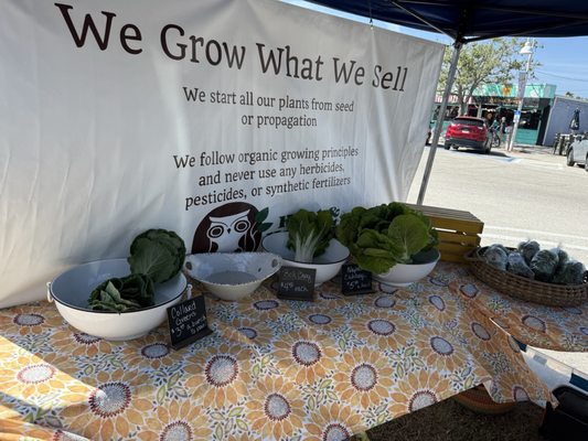 Gulfport Tuesday Fresh Market by null