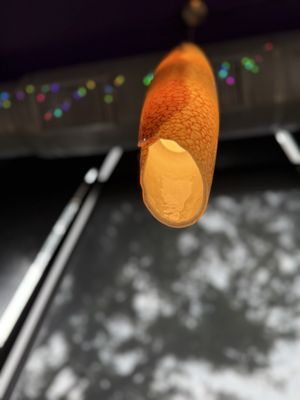 Okinawa Japanese Cuisine by null