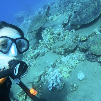 Extended Horizons Scuba - Mala Wharf Pier, 3 Hawksbill Turtles! - Diving Near Me - Lahaina, Hawaii