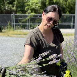 SoBotanical - Lavender harvest SoBotanical
