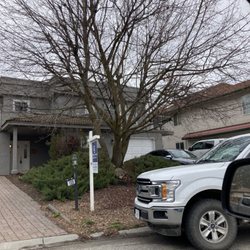Gladiator Tree Services - Large maple tree before we parted it out, removed and ground out the stump