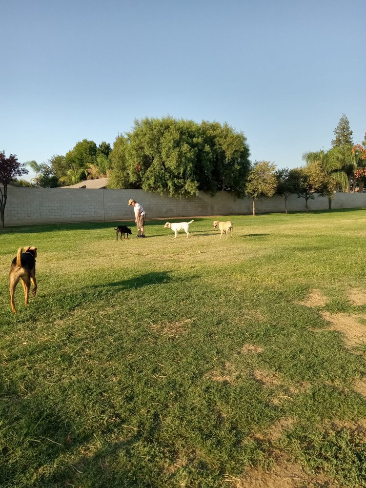 KREBS DOG PARK Updated September 2024 6000 Krebs Rd, Bakersfield