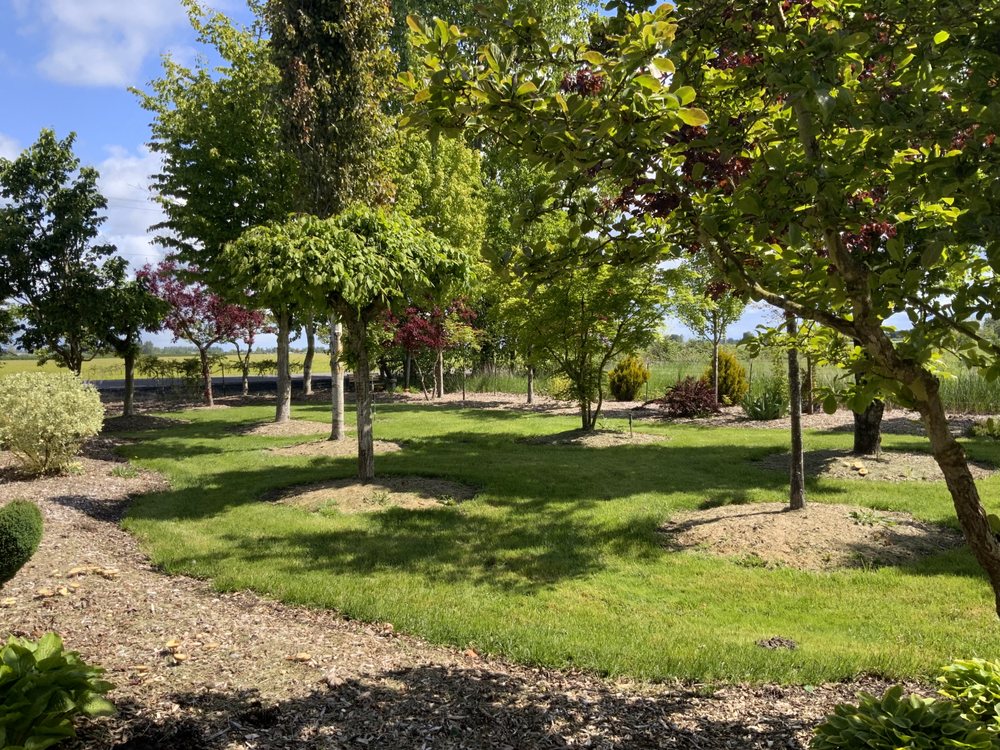 Country Kids Childcare - childcare center in Salem, OR