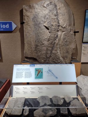 Museum of the Earth by null