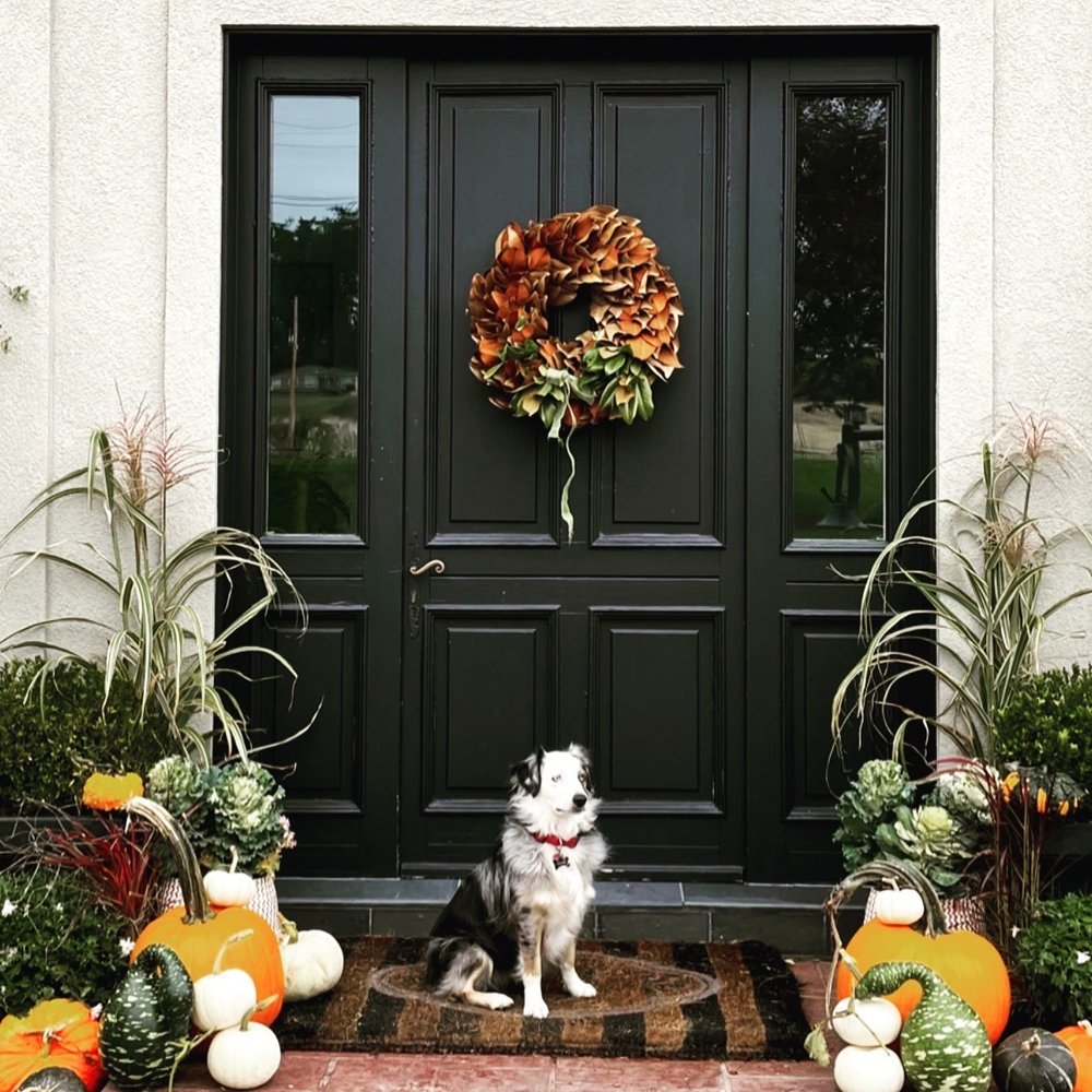 The Dogwood Pet Resort Image