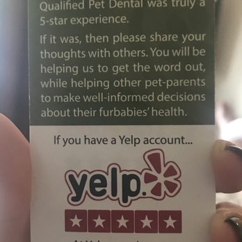 Qualified Pet Dental - Veterinarians Near Me - Huntington Beach, California Qualified Pet Dental - Veterinarians Near Me - Huntington Beach, California