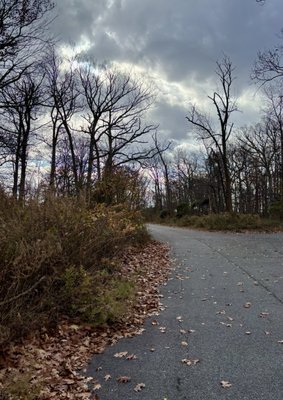South Mountain Reservation by null