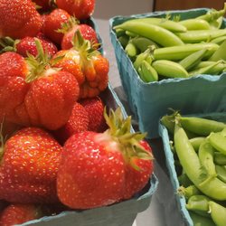 Stillman's Farm - Strawberries and sugar snaps