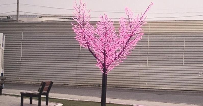 William Manuel, MD - patient advocate in Houston, TX