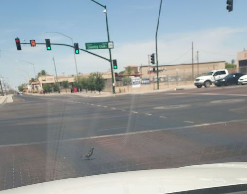 Pioneer Park by null