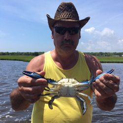 Bob's Bay Marina - Big blue claw caught in the Barnegat Bay on Bobs Marina pontoon.