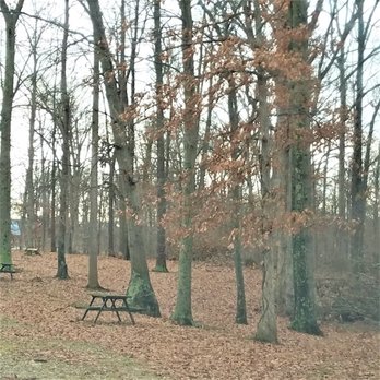 Murray Forest Park - picnic tables along the roadside - Parks Near Me - Bedford, Indiana Murray Forest Park - picnic tables along the roadside - Parks Near Me - Bedford, Indiana
