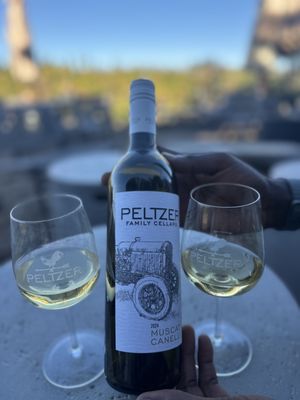 Peltzer Winery by null