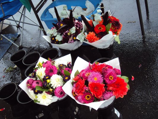 Portland Farmers Market - King by null