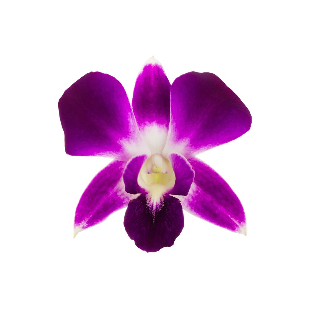 SKIN LOGIC Updated July 2024 74020 Allesandro, Palm Desert