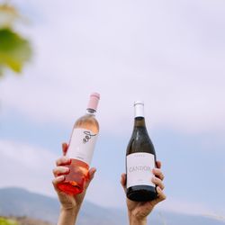 Rondo del Valle - Bottles of wine chilling in an ice bucket during a vineyard picnic.