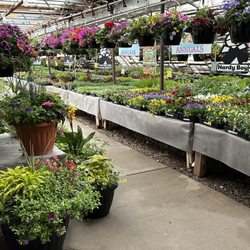 River Bend Nursery & Stone Company - Our full greenhouse! Patio Pots, Hanging Baskets, Bedding Plants, Veggies and MORE!