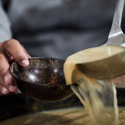 Four Shells Kava Room & Shop