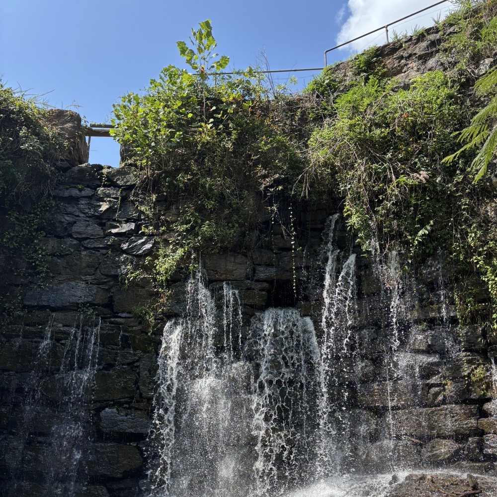 TOP 10 BEST Historical Tours near Bristol, TN 37620 - Updated 2026 - Yelp, image size:1000x1000