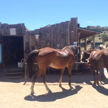 Broken Saddle Riding - Horseback Riding Near Me - Cerrillos, New Mexico Broken Saddle Riding - Horseback Riding Near Me - Cerrillos, New Mexico