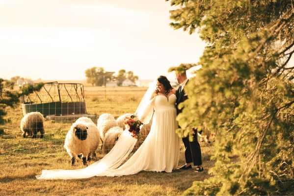 Conrad Mansion Wedding & Reception Venue