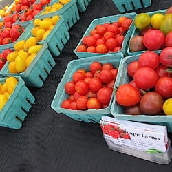 Fairport Farmers' Market - 26 Sept 2015