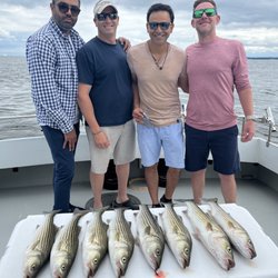 Fin Hunter Charters