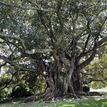 Albert Park - Parks Near Me - Auckland, AUK Albert Park - Parks Near Me - Auckland, AUK