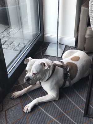 Restaurant Casa di Roma by null